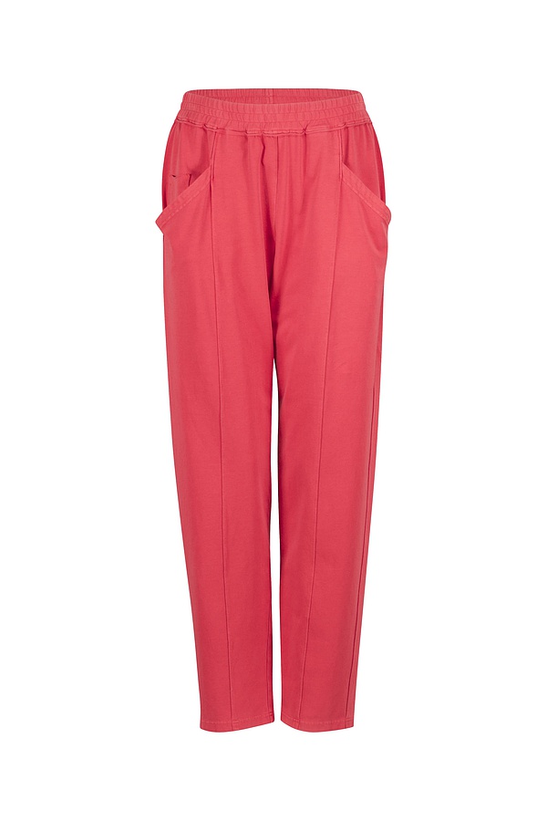 Hose Dilek